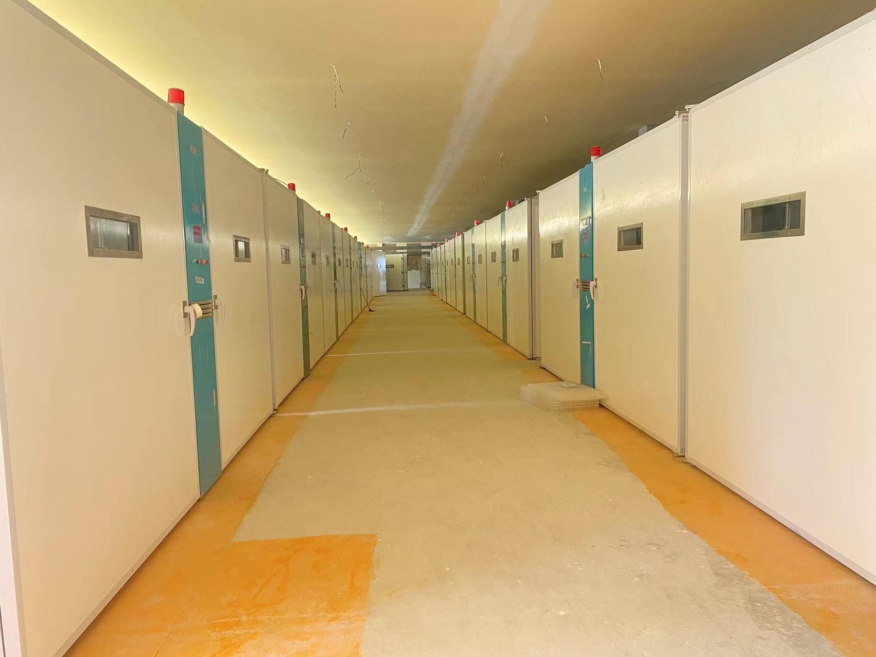 Последние блоги о компании Долговечные решения для птицеводства: почему африканские инкубатории переходят на нержавеющую сталь и стеклопластик ELT-57600S