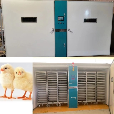 Купить цыпленок 220V/50Hz насиживая машину с точностью влажности ±3%RH online manufacture