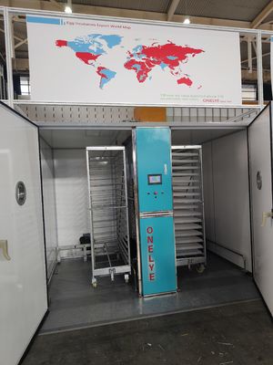 Купить Инкубатор для куриных яиц ELT-19200 online manufacture