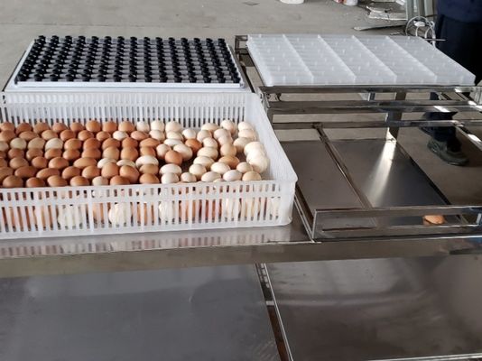 Купить Яйцо передачи коммерчески автоматическое миражируя машину оборудования таблицы online manufacture