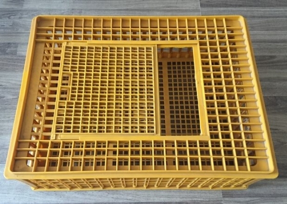 Купить Аксессуары курятника транспортируют клетку 732x534x260mm цыпленка птицы пластиковую online manufacture