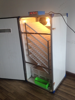Купить Инкубатор яйца 500 цыпленк online manufacture