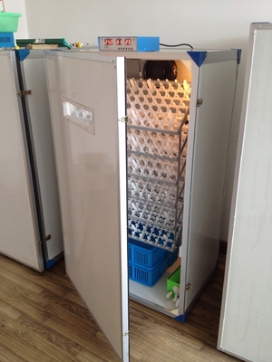 Купить Автоматический инкубатор яйца птицы насиживая инкубатор яйца машины 600 online manufacture