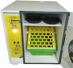 Купить Яйца инкубатора 672 слон режима голубя умного Multi автоматические online manufacture