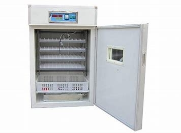 Купить Автоматическое яйцо птицы тернера насиживая машину 360 градусов online manufacture